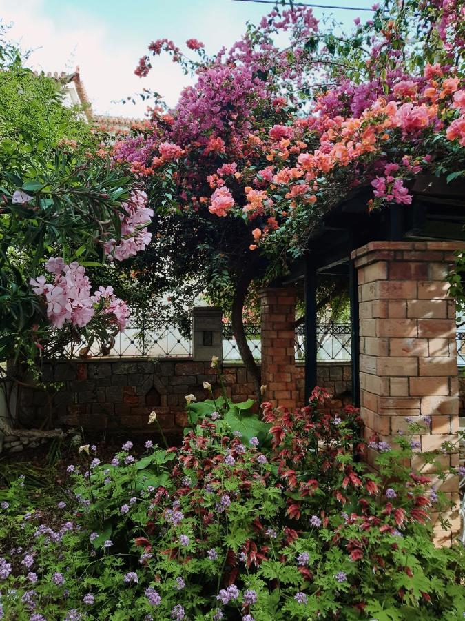 Veneto'S Garden Apartment Kardhamili Bagian luar foto